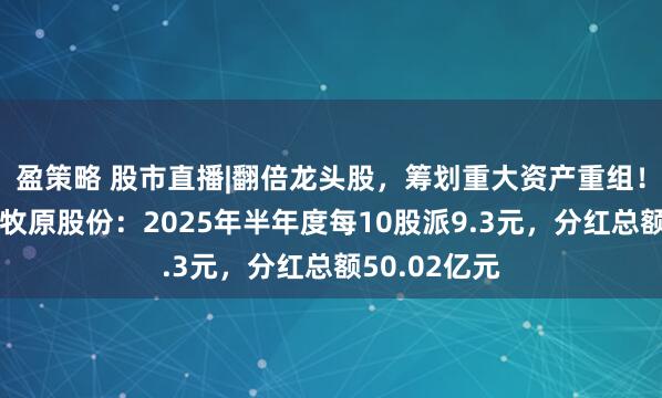 盈策略 股市直播|翻倍龙头股，筹划重大资产重组！跨界芯片；牧原股份：2025年半年度每10股派9.3元，分红总额50.02亿元