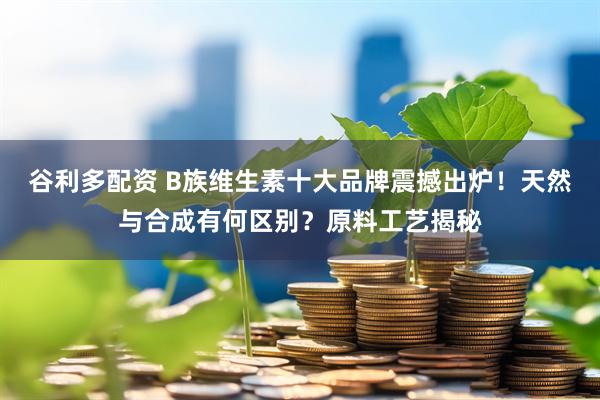 谷利多配资 B族维生素十大品牌震撼出炉！天然与合成有何区别？原料工艺揭秘