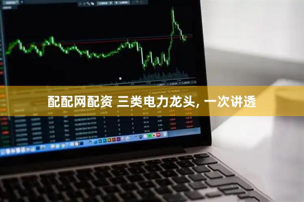 配配网配资 三类电力龙头, 一次讲透